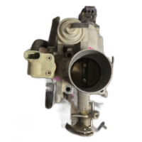 Throttle Bodies